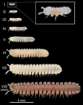  Millipede - An Unassuming Masterpiece of Tiny Legs Navigating the Hidden World of Decomposition!