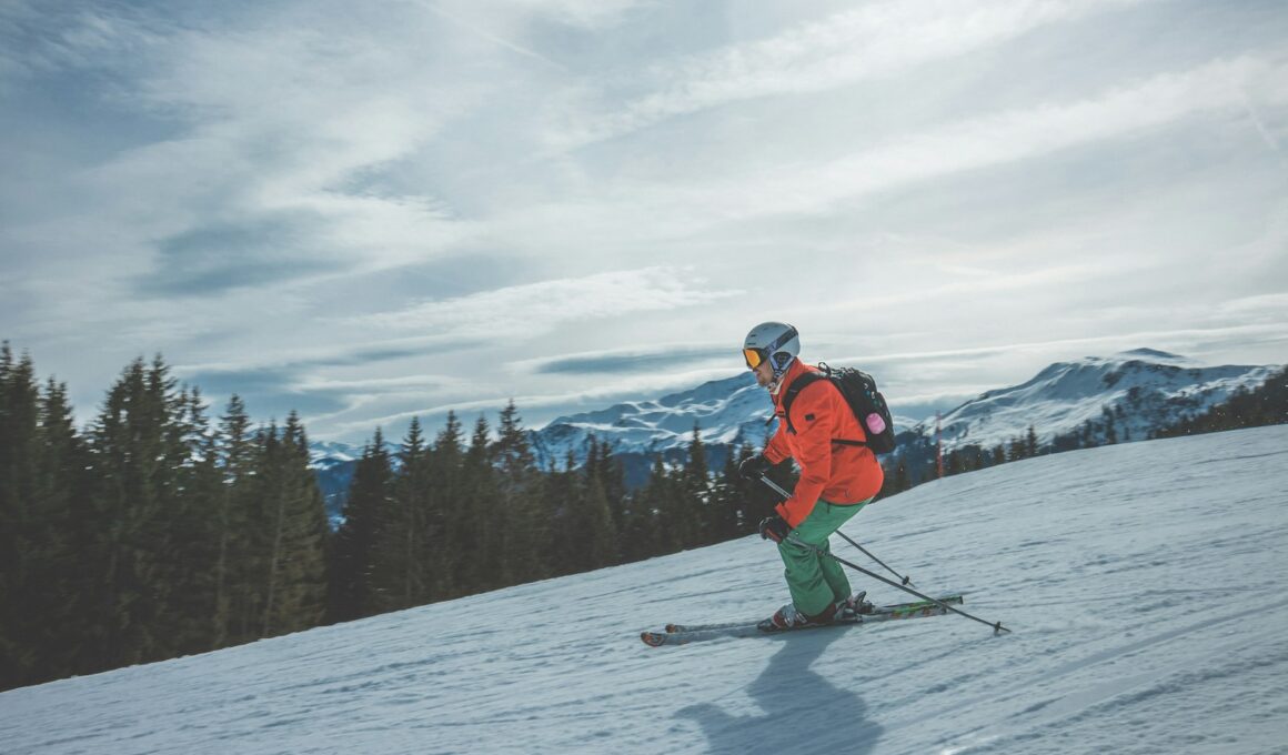 person using ski boards during daytime photography